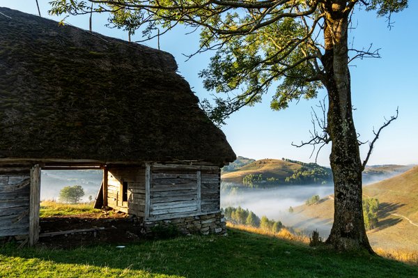 Essential Tips for Caring for Your Thatched Roof in a Charming UK Country Cottage