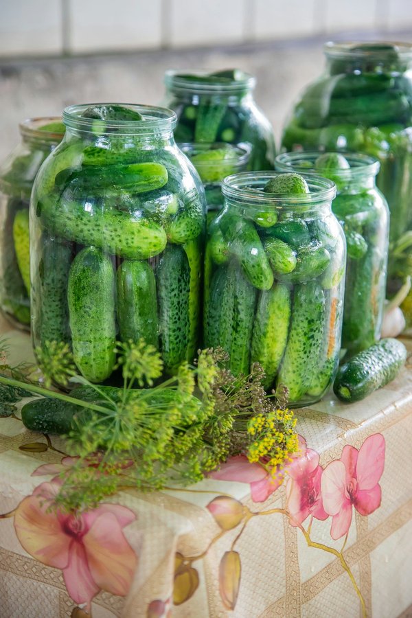 Expert Tips for Preserving Original Woodwork in Your UK Heritage Home