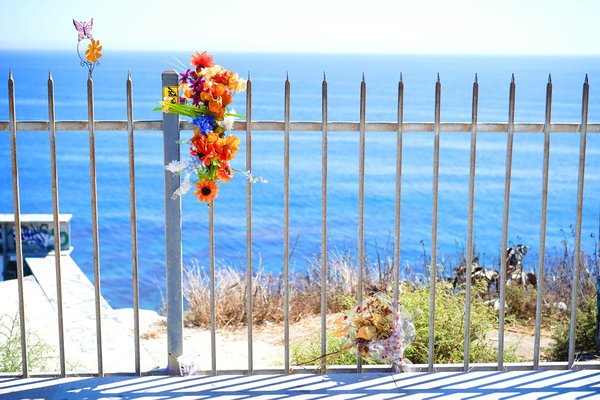 Creating a Coastal Green Living Fence: A Step-by-Step Guide to Privacy and Wind Resistance in the UK