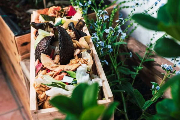 Choosing the Perfect Compost for Your Container Garden in a Manchester Flat: A Guide for Urban Gardeners